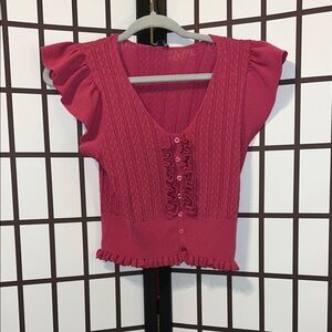 Express Pink Ruffled Knit Top